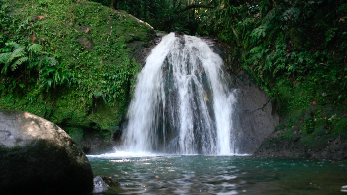 Guadeloupe-121